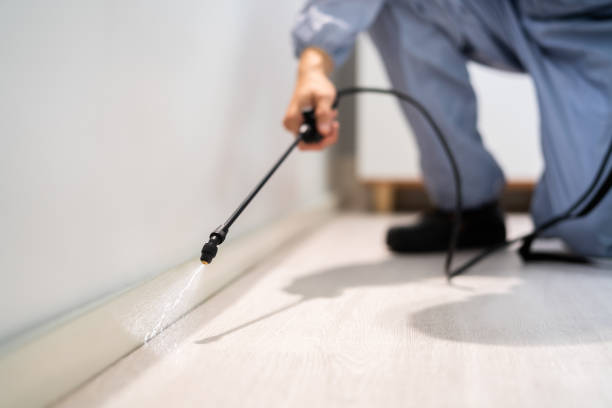 Insect Control in Marina Del Rey, CA