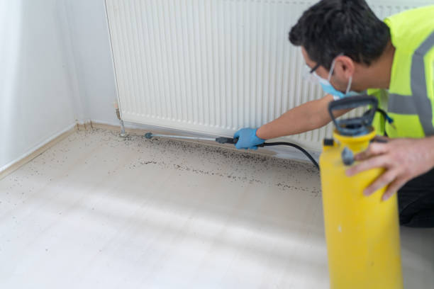 Best Residential Pest Control  in Marina Del Rey, CA