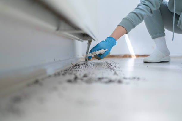 Best Pest Prevention Services  in Marina Del Rey, CA